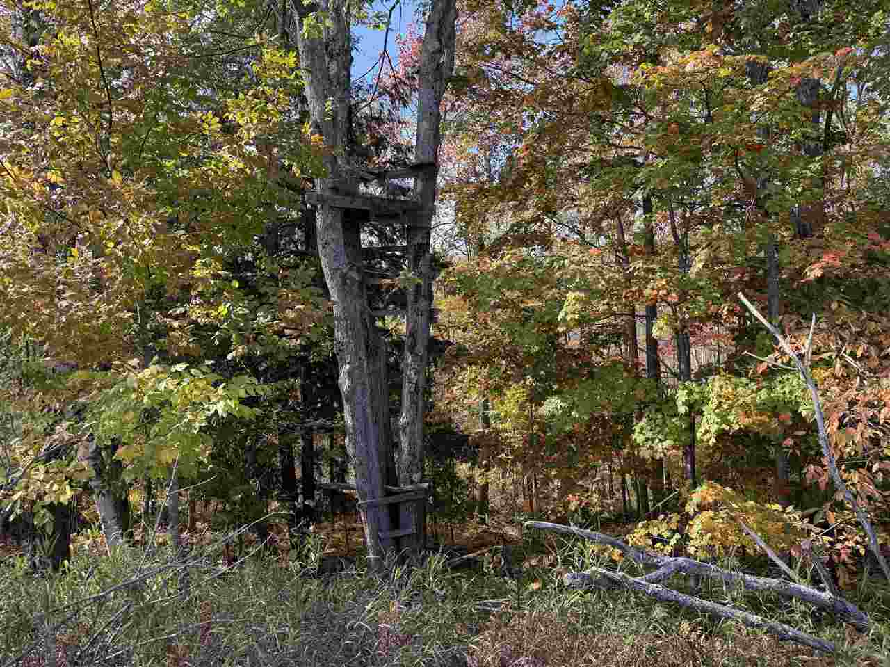 C-3 Spingwood Road Charlevoix MI 49720-0000