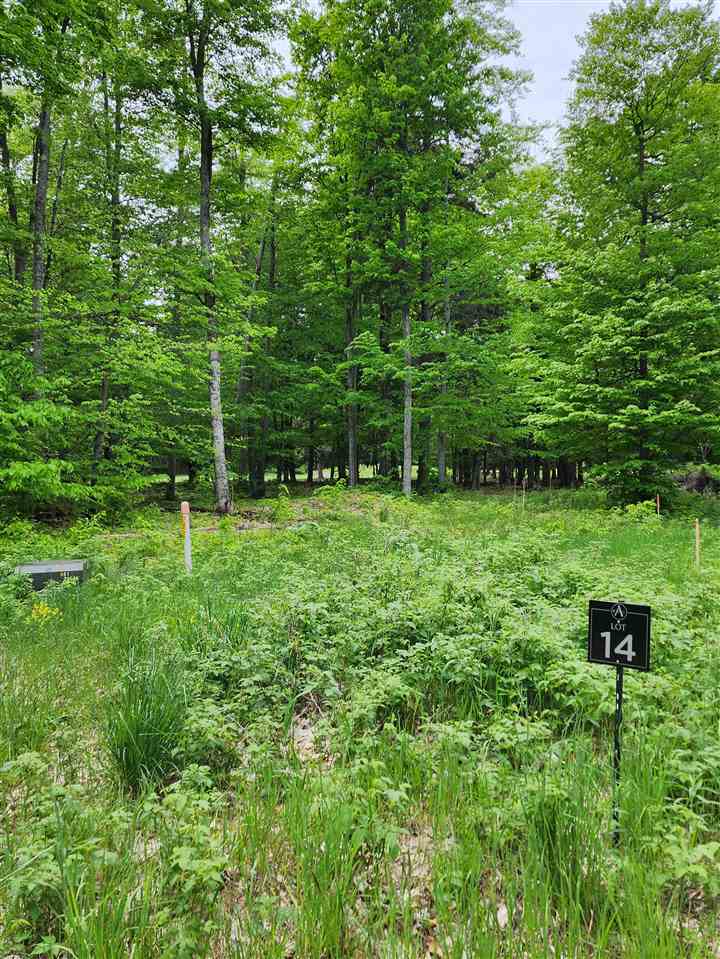 992 Aronimink Drive Harbor Springs MI 49740