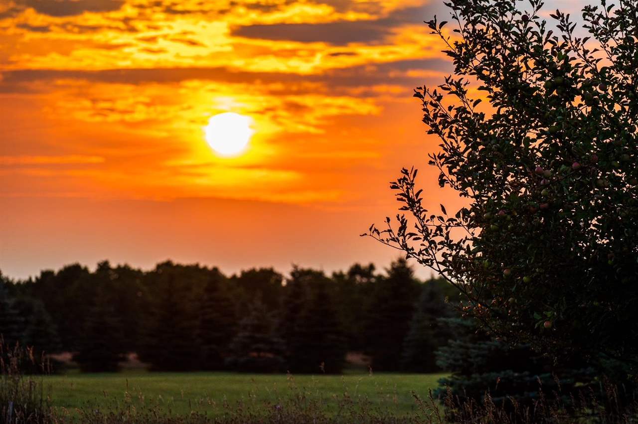 8197 East Ridge Road Harbor Springs MI 49740