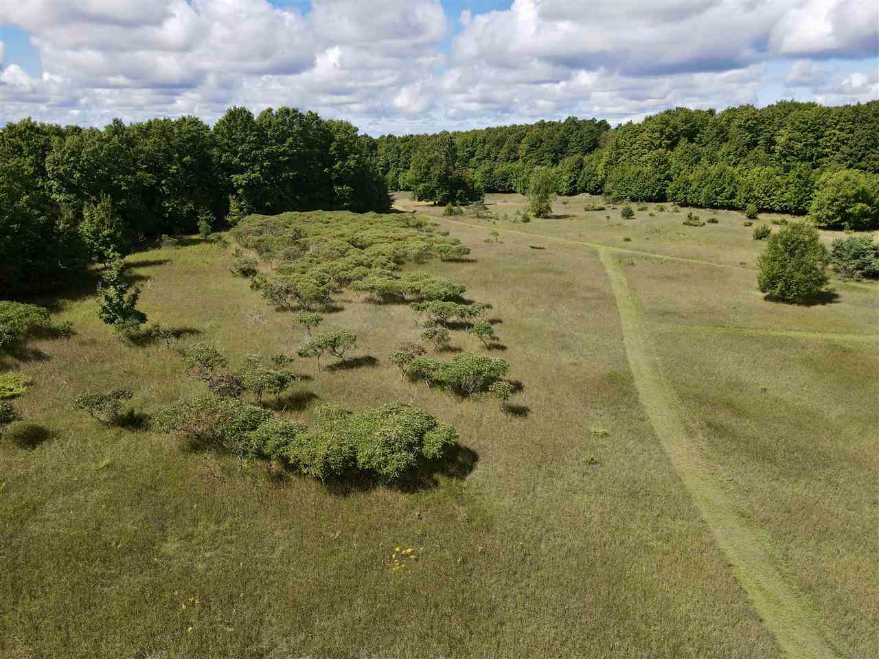 Tbd Freeman Road East Jordan MI 49727