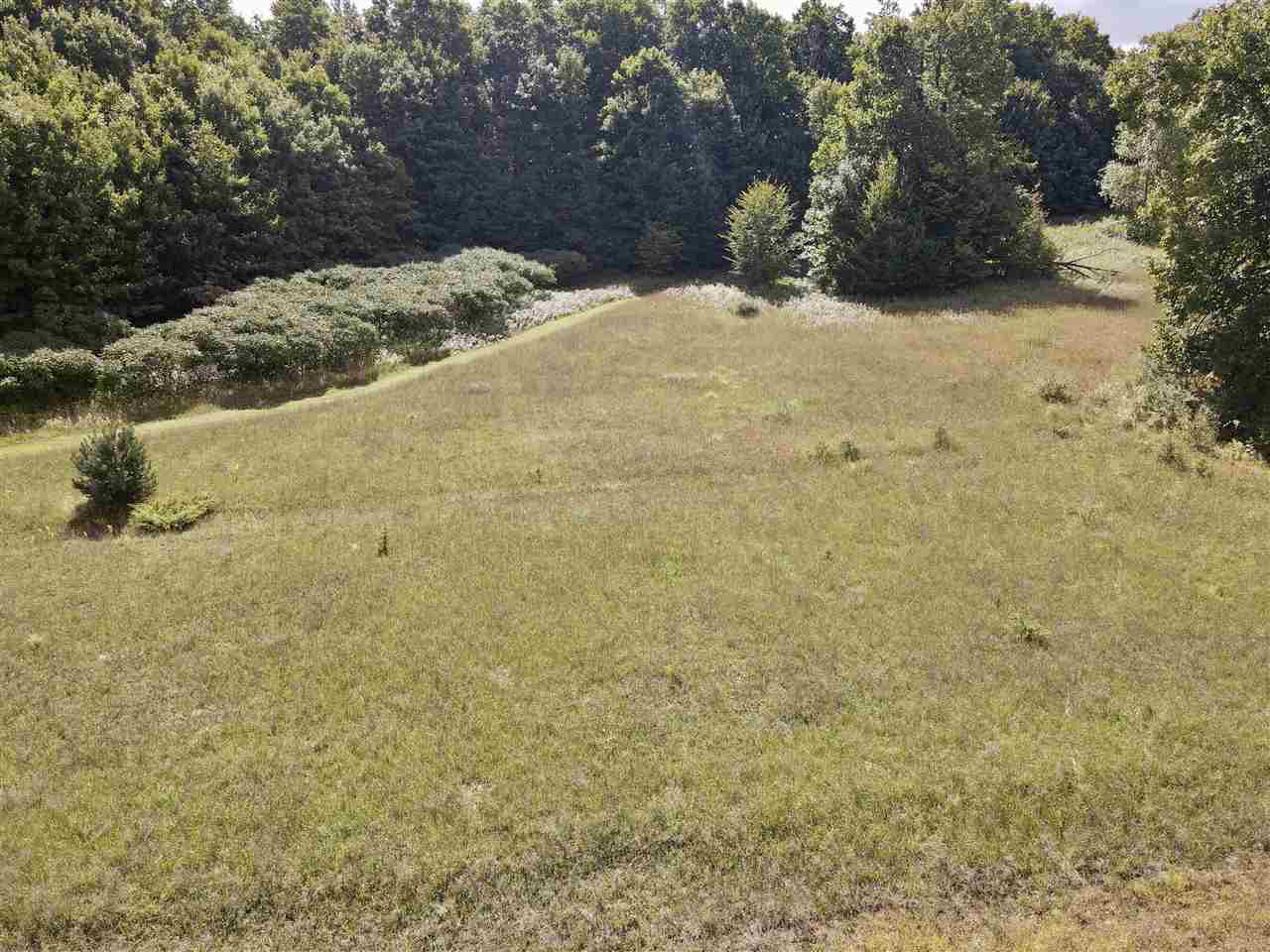 Tbd Freeman Road East Jordan MI 49727