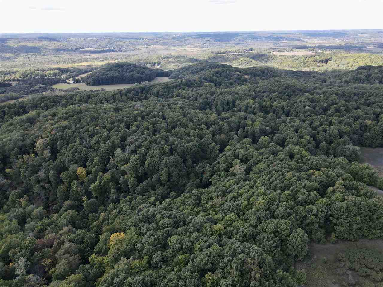 Tbd Freeman Road East Jordan MI 49727