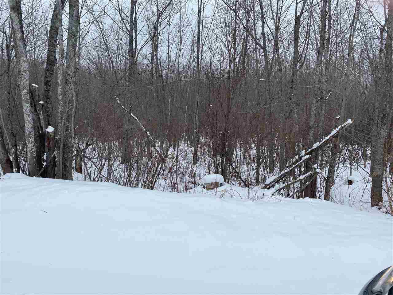 Parcel E Silver Strand Road Levering MI 49755