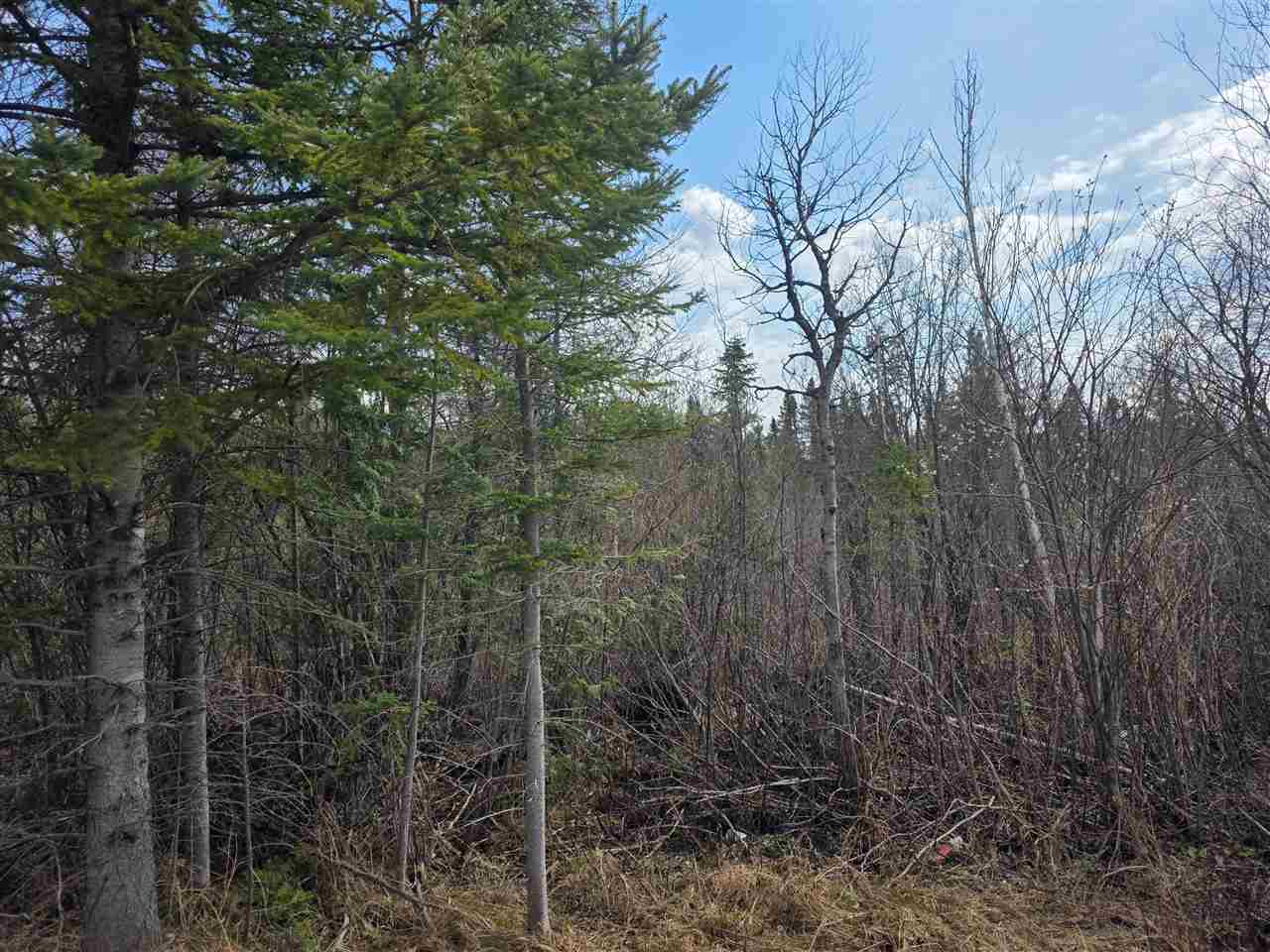 5191 Onaway Road Indian River MI 49749