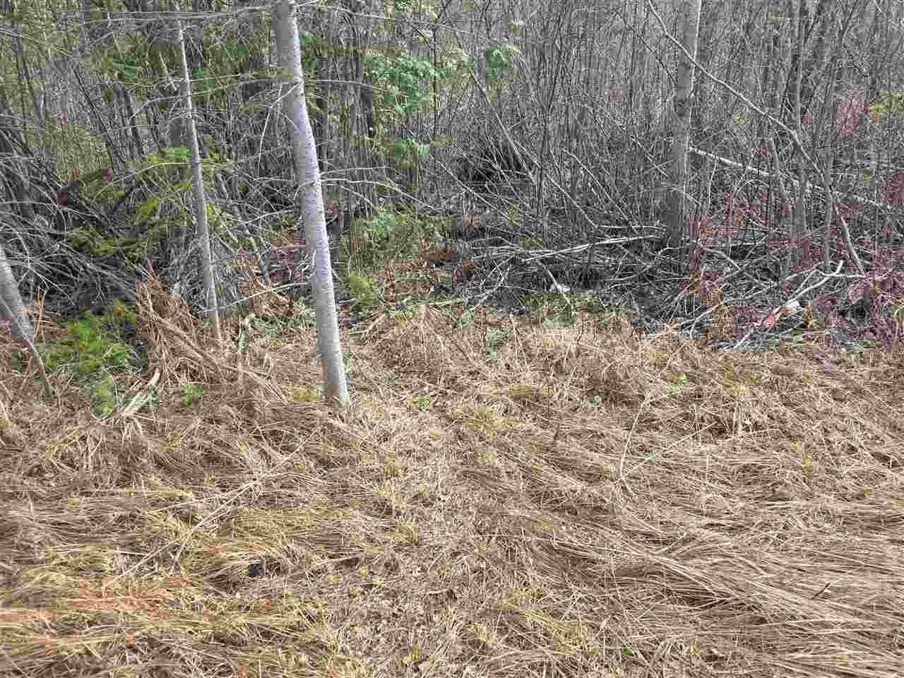 5191 Onaway Road Indian River MI 49749