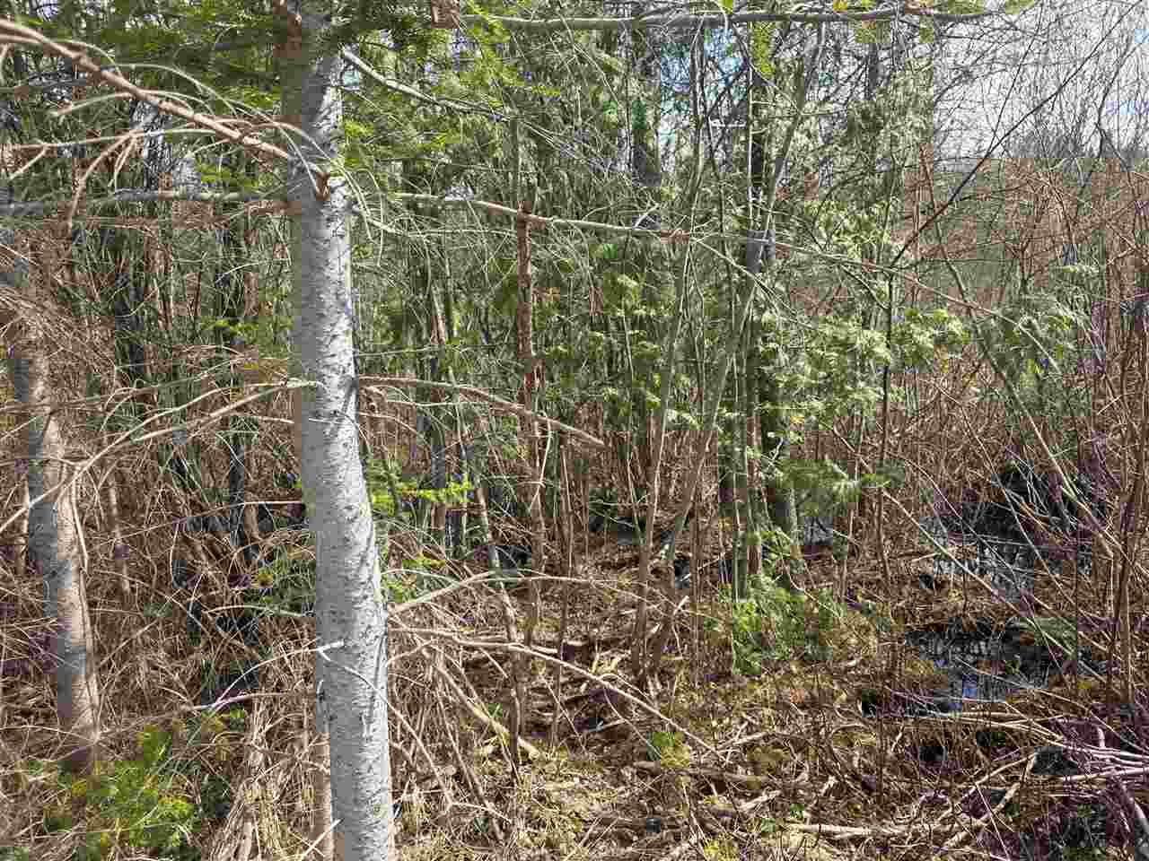 5191 Onaway Road Indian River MI 49749