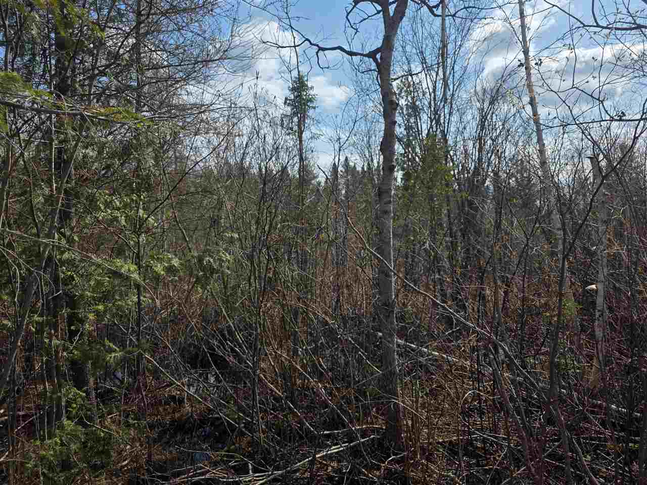 5191 Onaway Road Indian River MI 49749