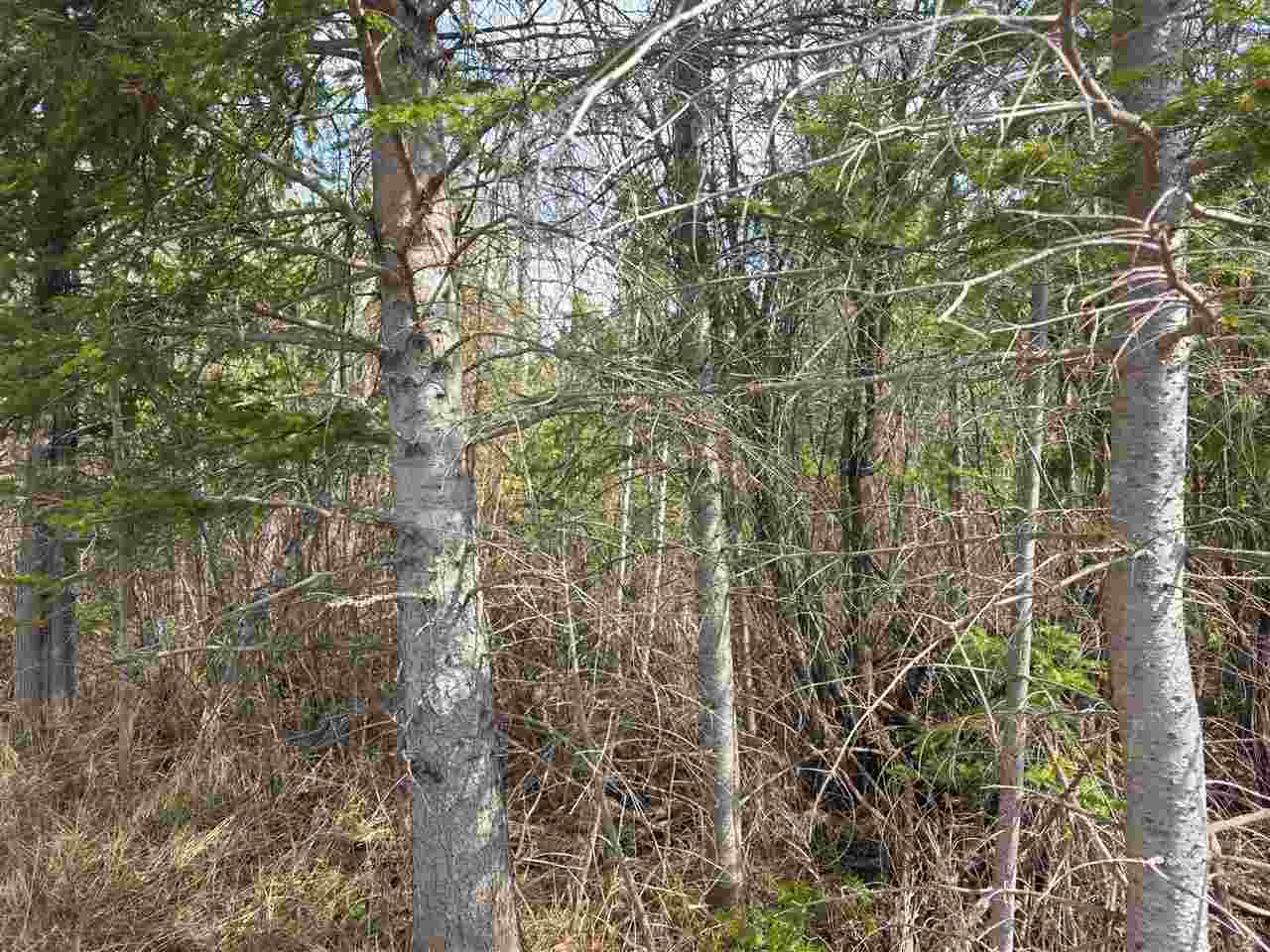 5191 Onaway Road Indian River MI 49749