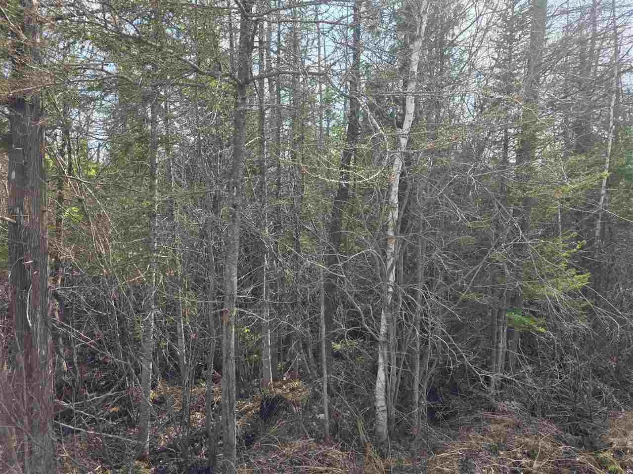 5191 Onaway Road Indian River MI 49749
