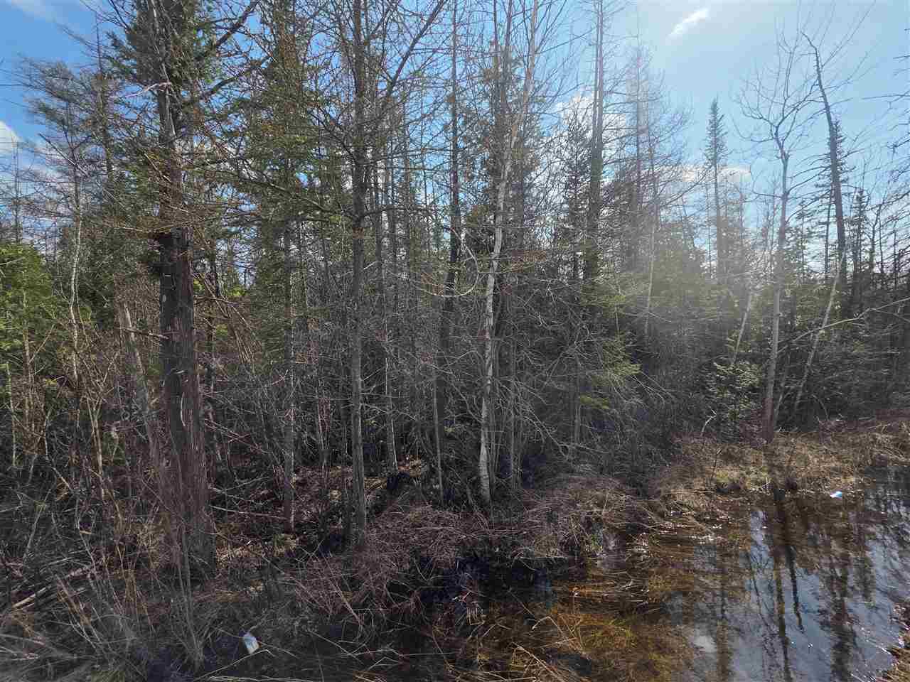 5191 Onaway Road Indian River MI 49749