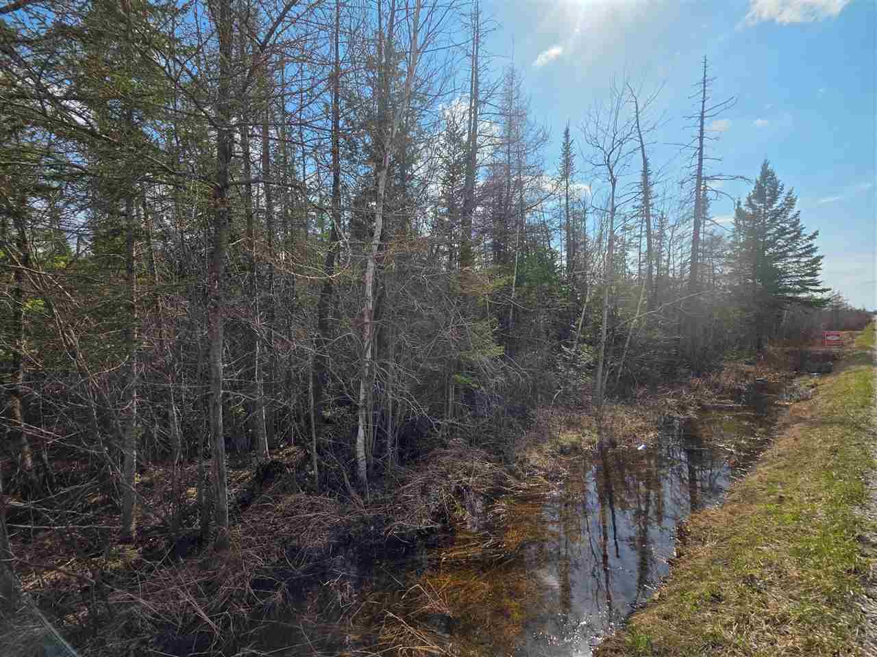 5191 Onaway Road Indian River MI 49749