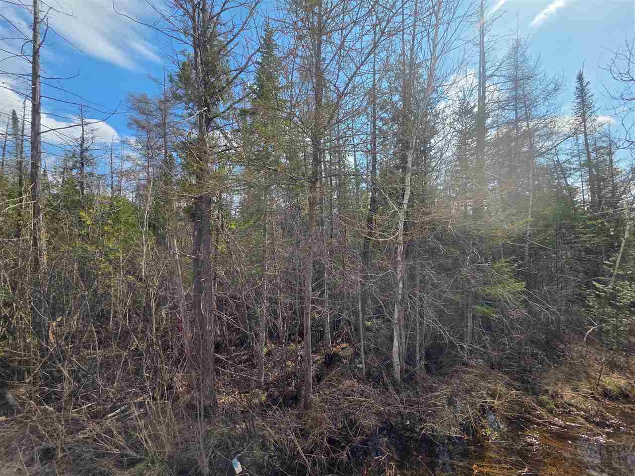 5191 Onaway Road Indian River MI 49749