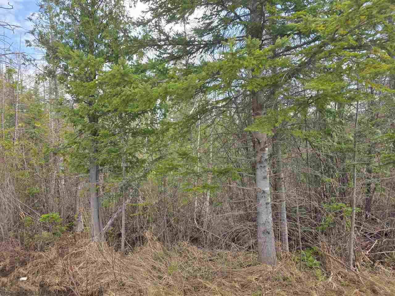 5191 Onaway Road Indian River MI 49749