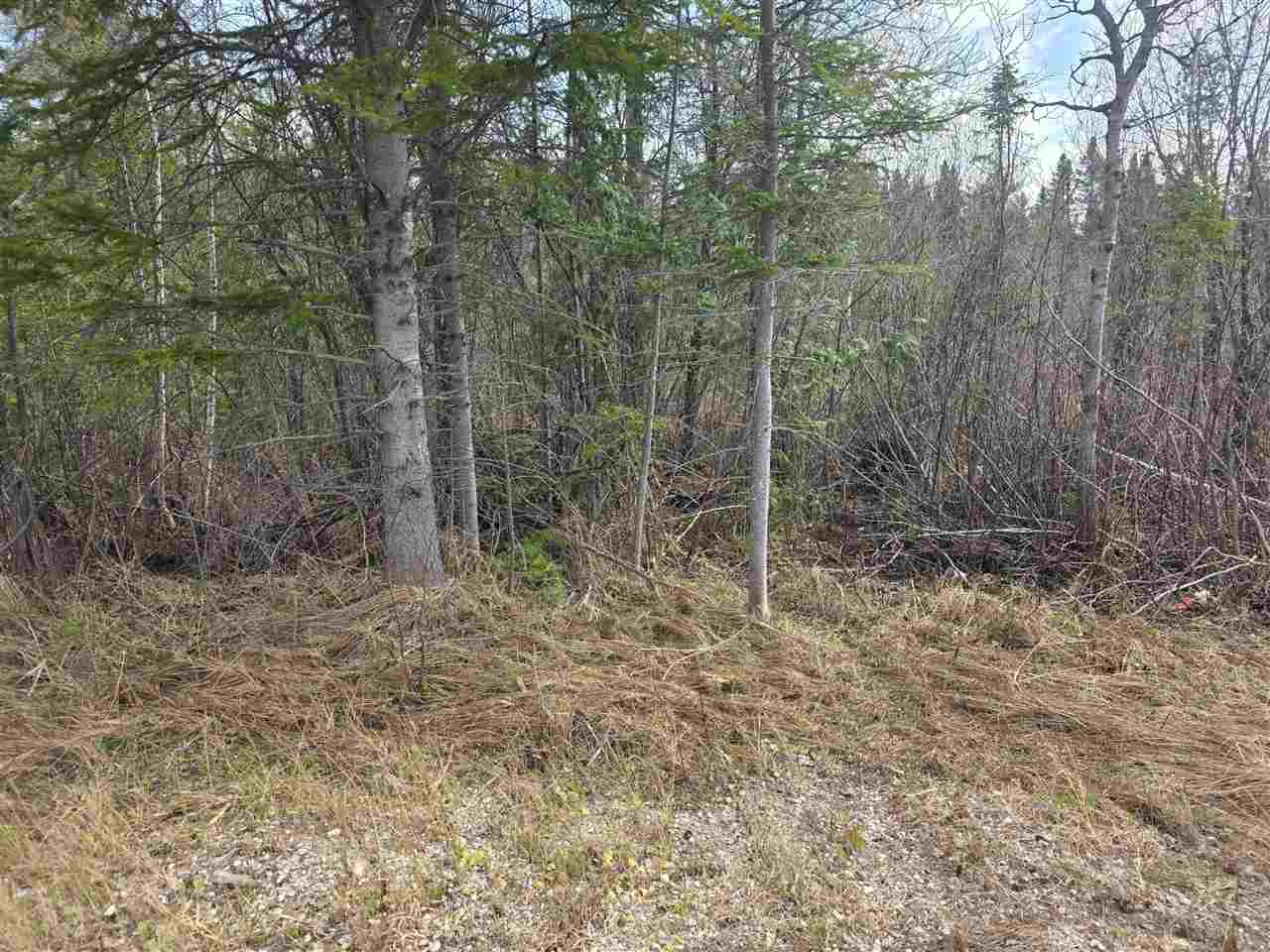 5191 Onaway Road Indian River MI 49749