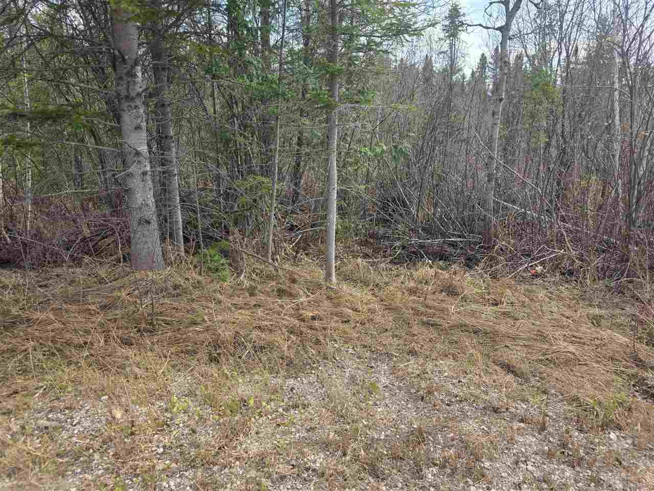 5191 Onaway Road Indian River MI 49749