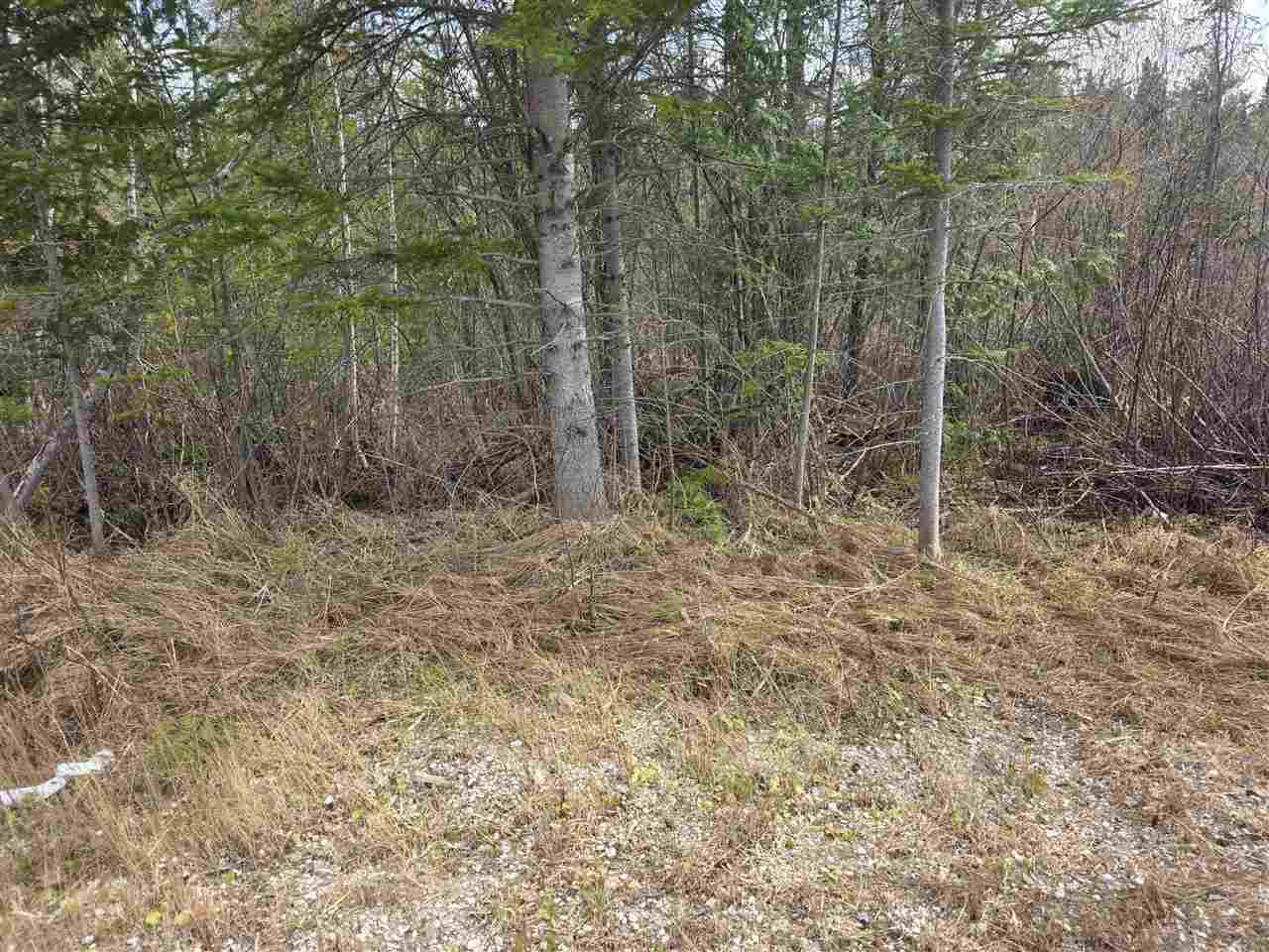 5191 Onaway Road Indian River MI 49749