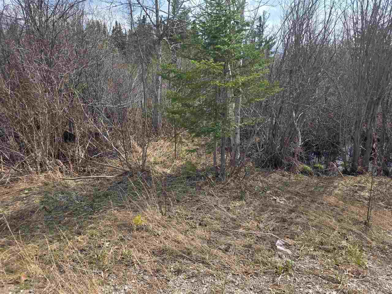 5191 Onaway Road Indian River MI 49749