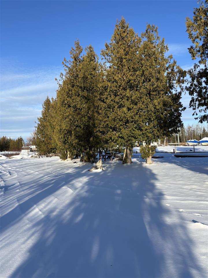 3141& 3145 Mingo Trail Indian River MI 49749