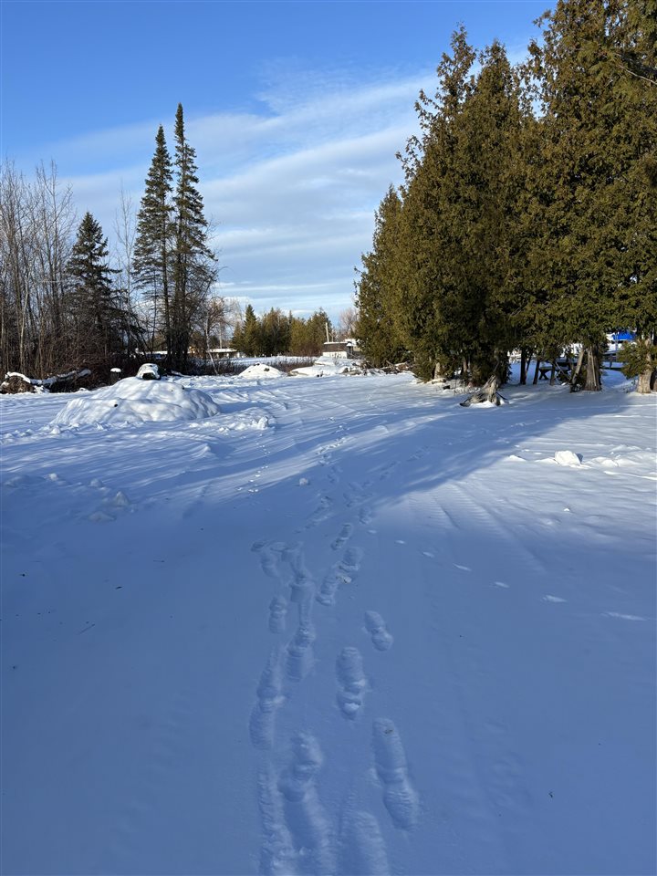 3141& 3145 Mingo Trail Indian River MI 49749