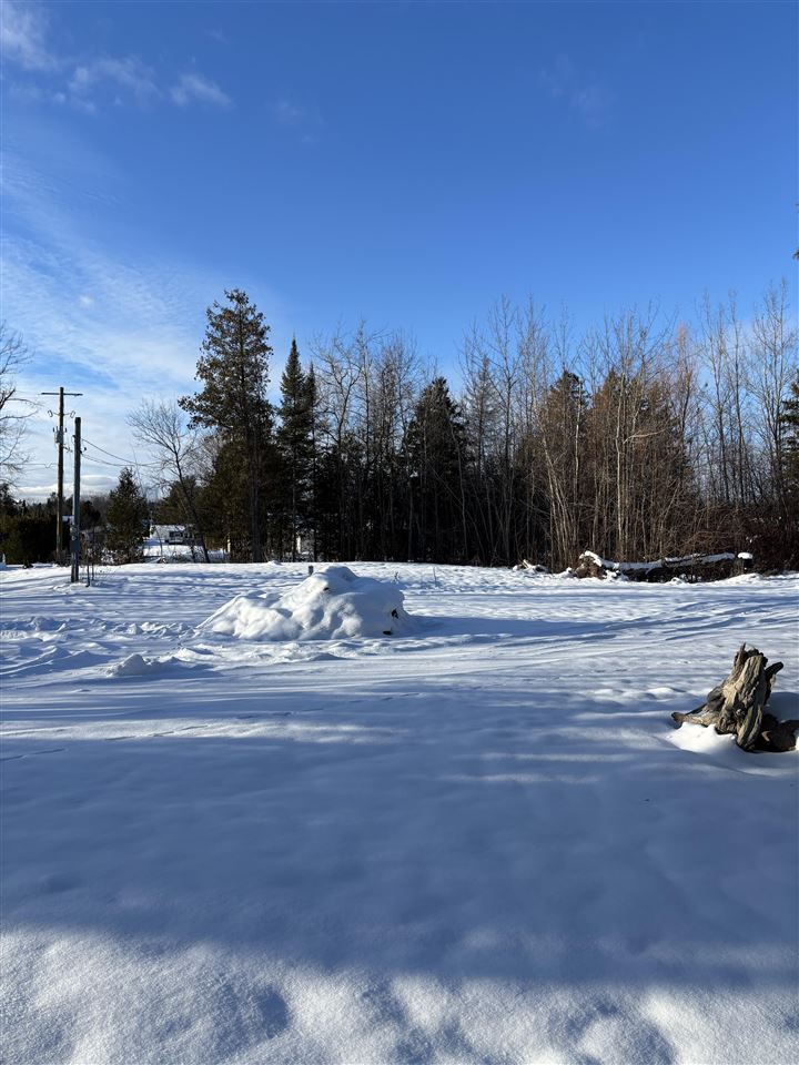 3141& 3145 Mingo Trail Indian River MI 49749