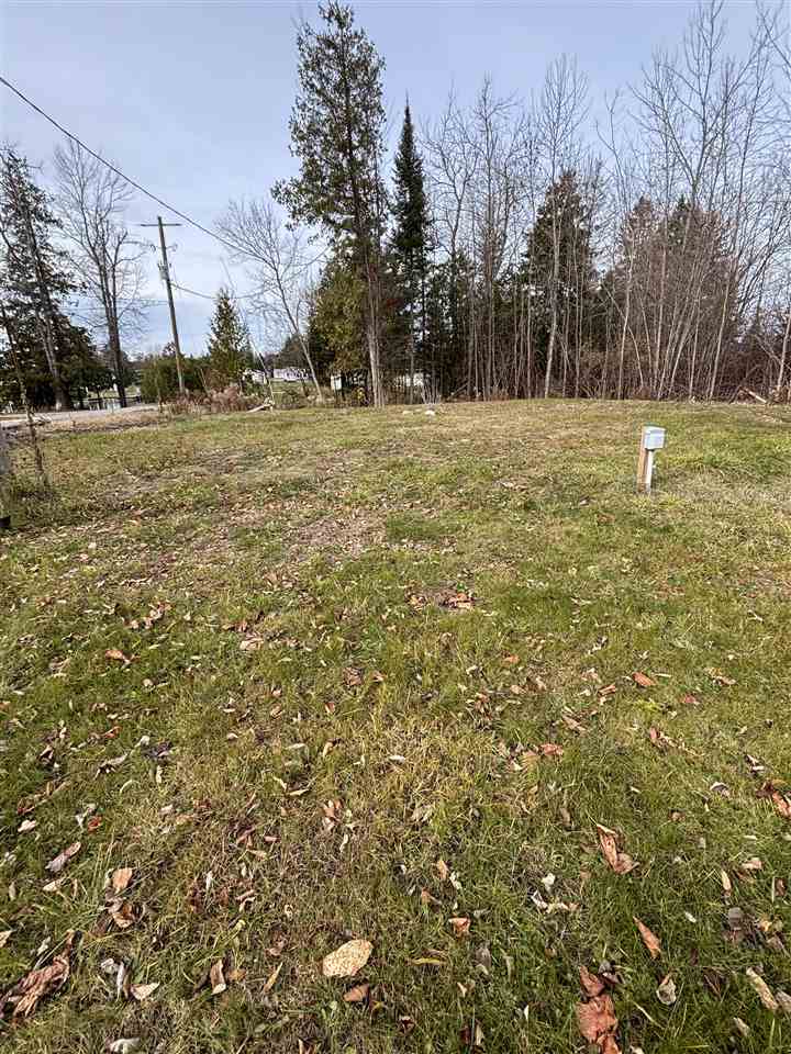 3141& 3145 Mingo Trail Indian River MI 49749