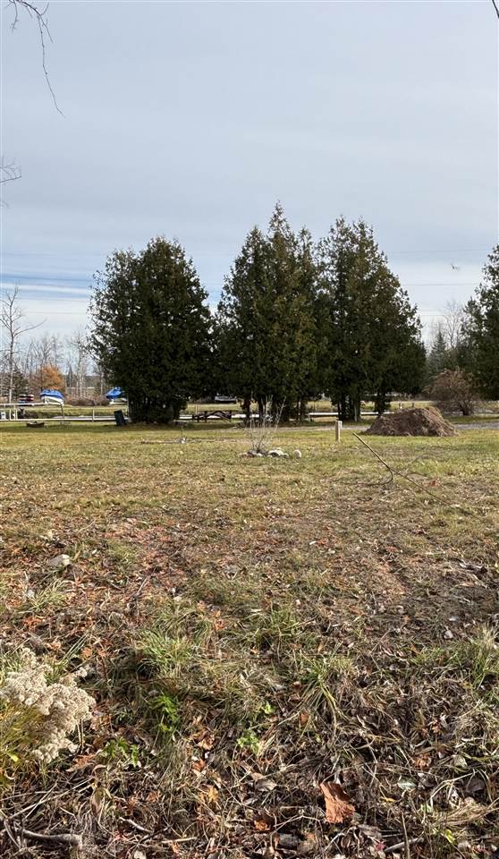 3141& 3145 Mingo Trail Indian River MI 49749