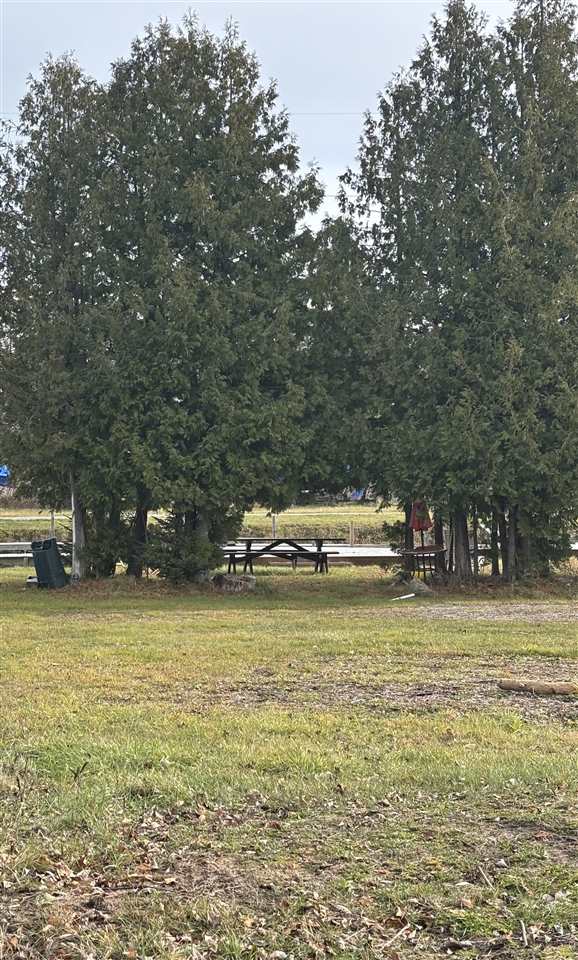 3141& 3145 Mingo Trail Indian River MI 49749