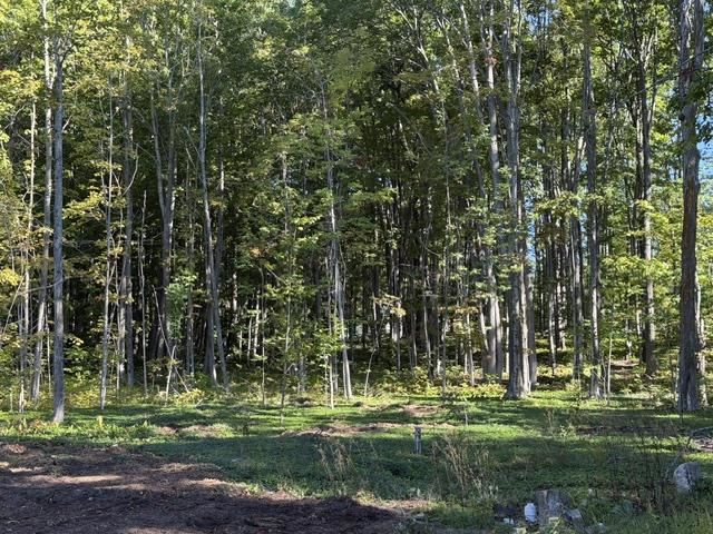 7901 M119 Highway Harbor Springs MI 49740
