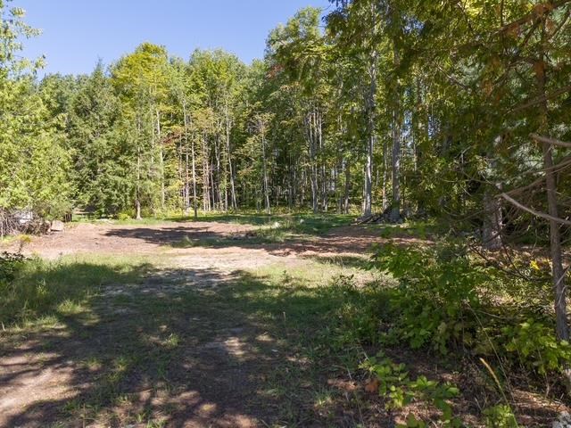 7901 M119 Highway Harbor Springs MI 49740