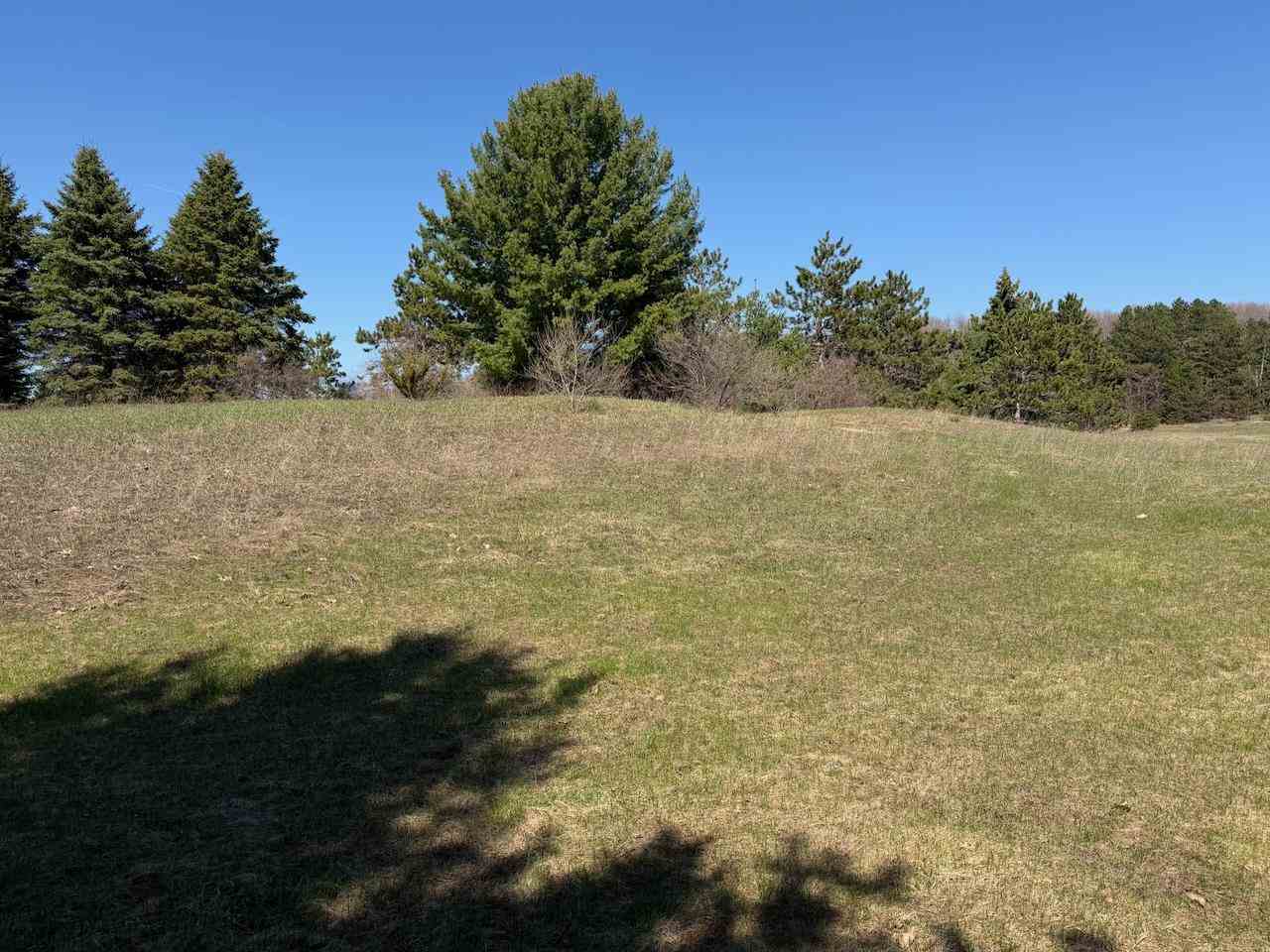 Unit 44 Golf Meadows Drive Bellaire MI 49615
