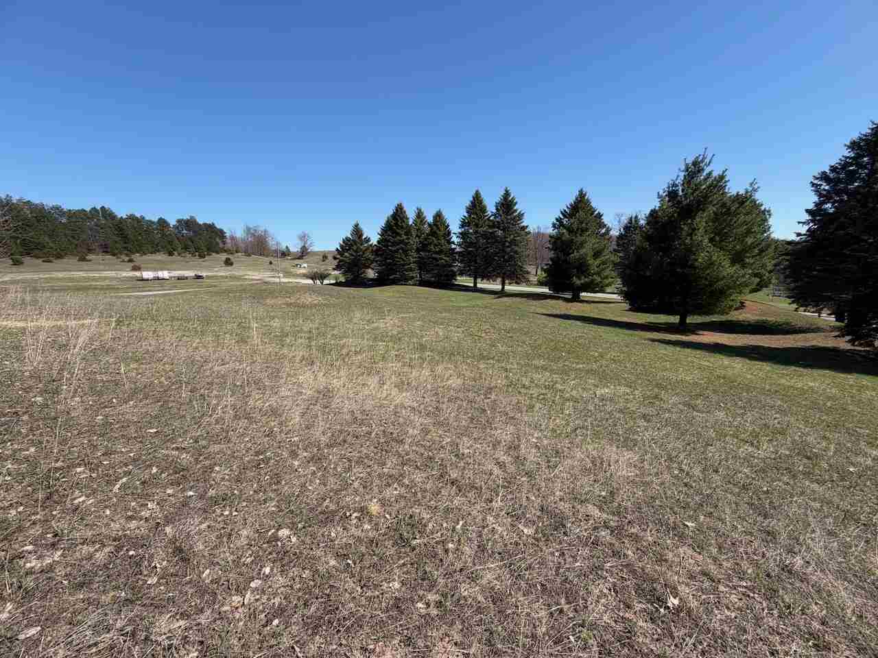 Unit 44 Golf Meadows Drive Bellaire MI 49615