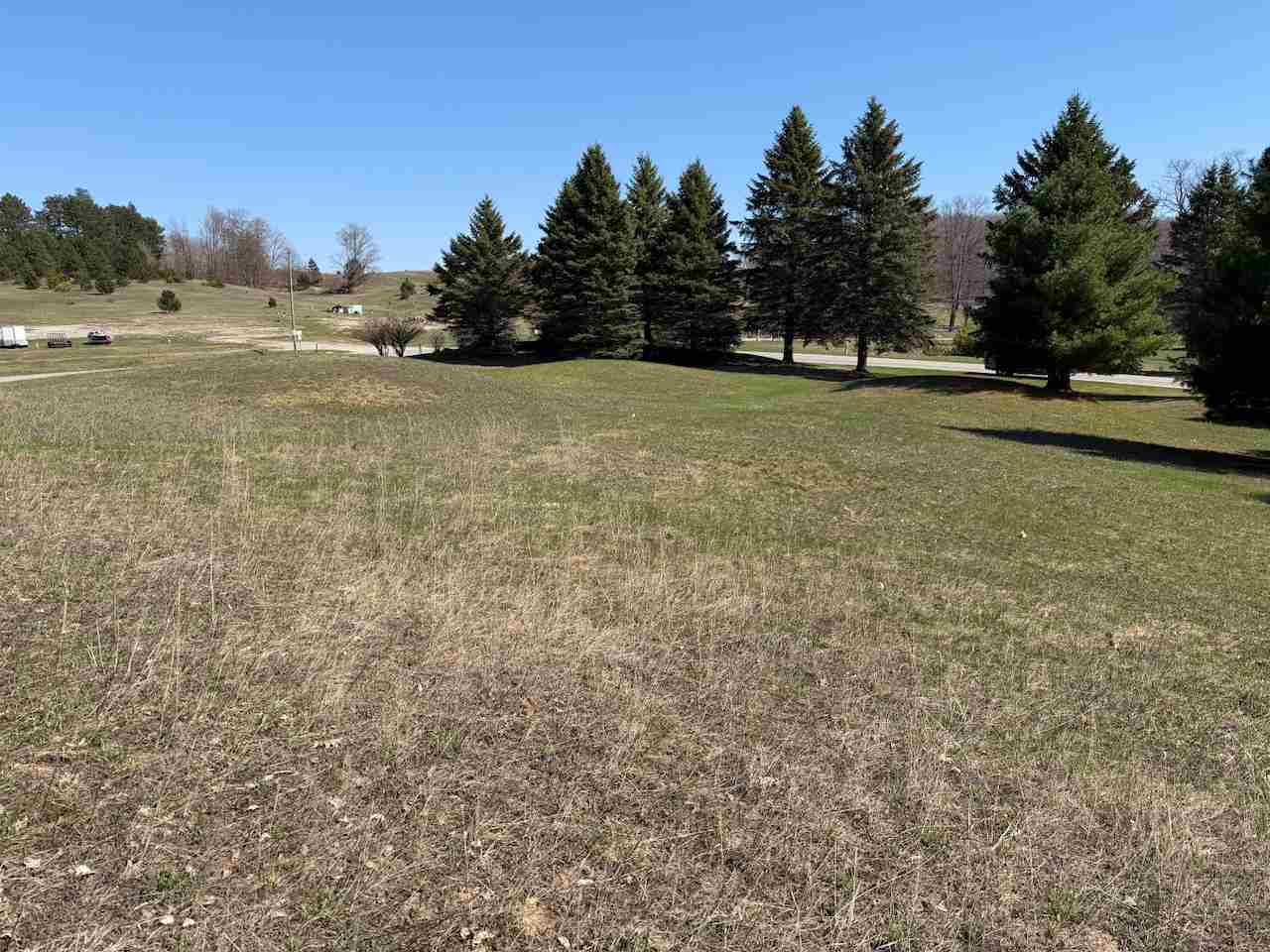 Unit 44 Golf Meadows Drive Bellaire MI 49615