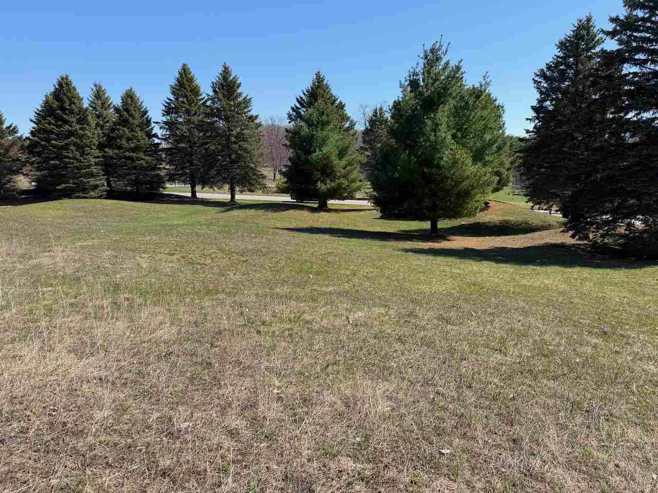 Unit 44 Golf Meadows Drive Bellaire MI 49615