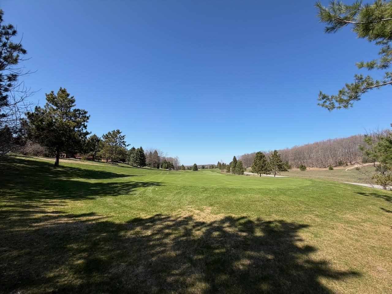 Unit 44 Golf Meadows Drive Bellaire MI 49615