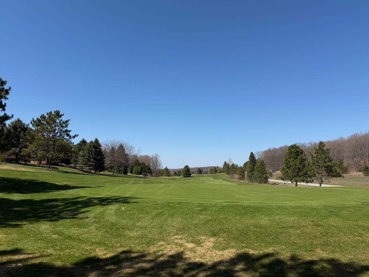 Unit 44 Golf Meadows Drive Bellaire MI 49615
