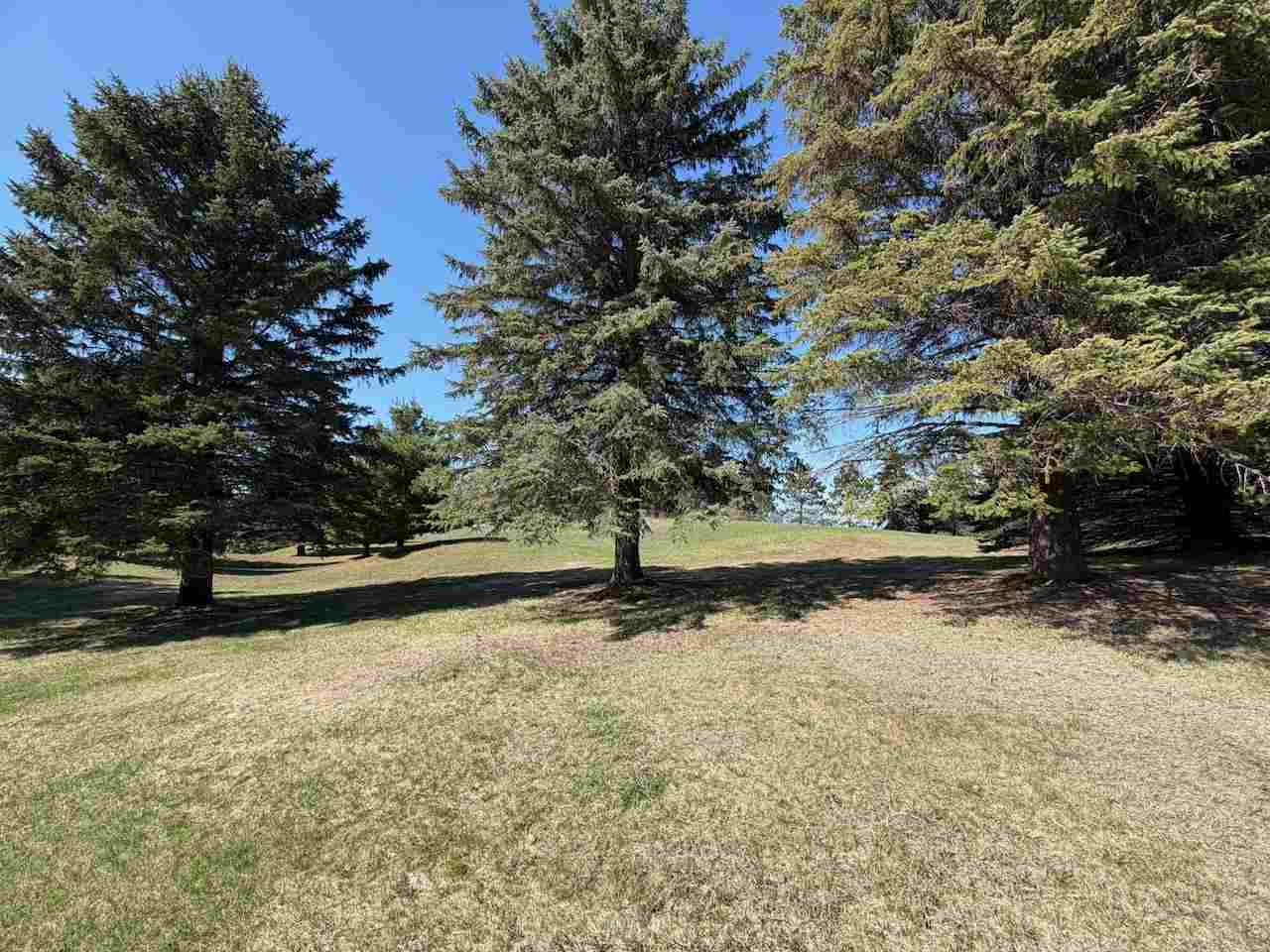 Unit 44 Golf Meadows Drive Bellaire MI 49615