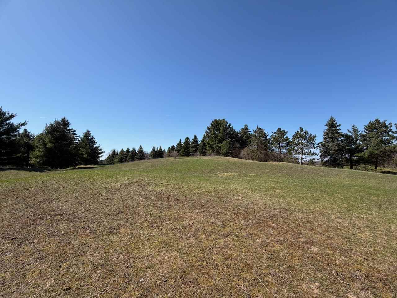 Unit 44 Golf Meadows Drive Bellaire MI 49615