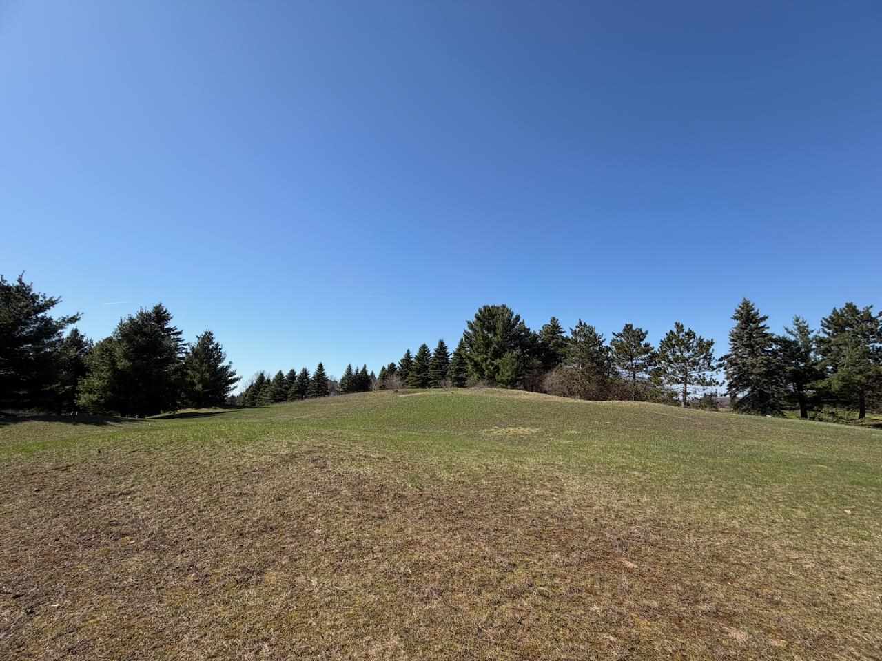 Unit 44 Golf Meadows Drive Bellaire MI 49615