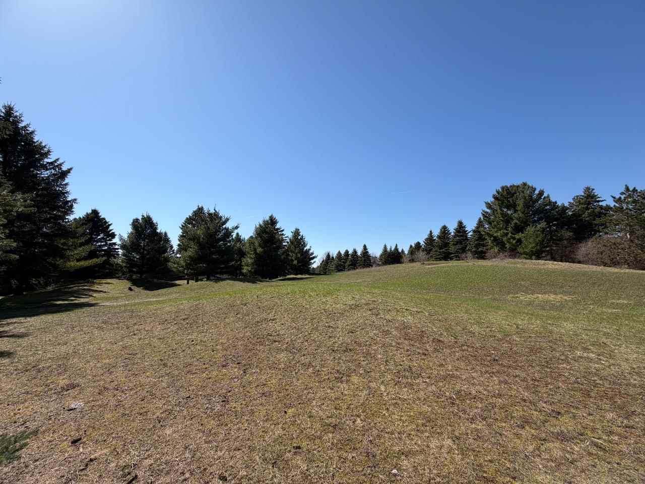 Unit 44 Golf Meadows Drive Bellaire MI 49615