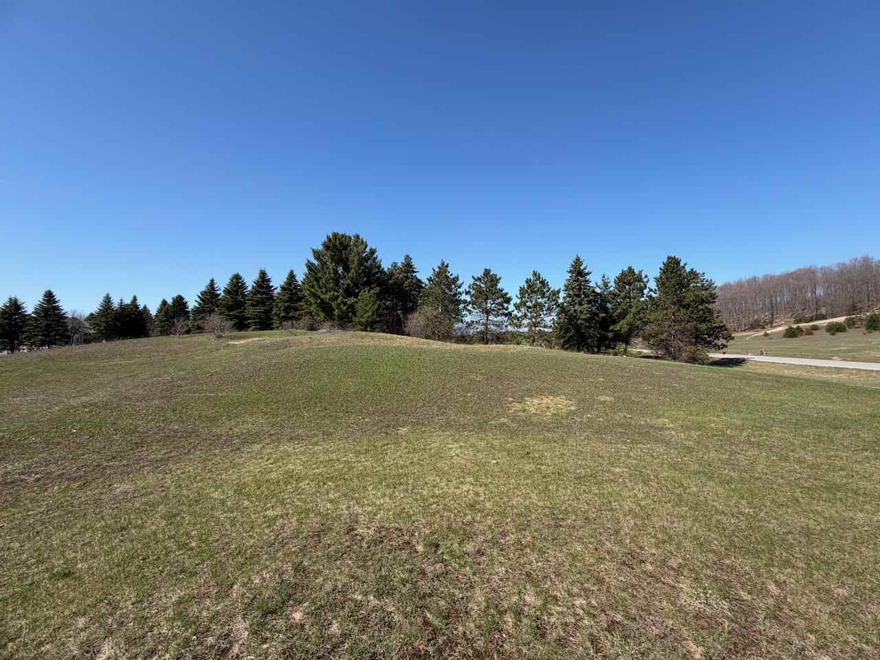 Unit 44 Golf Meadows Drive Bellaire MI 49615