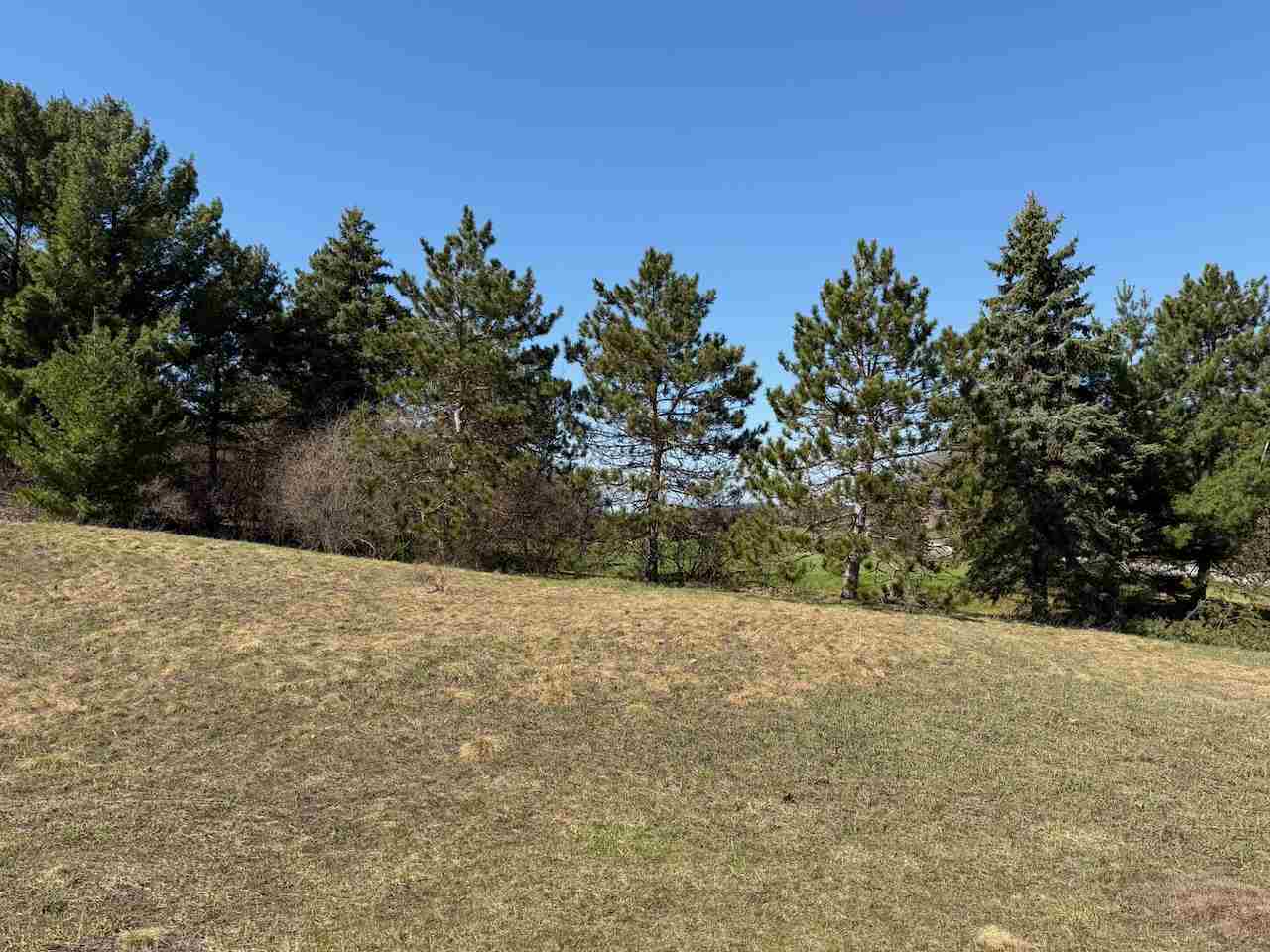 Unit 44 Golf Meadows Drive Bellaire MI 49615