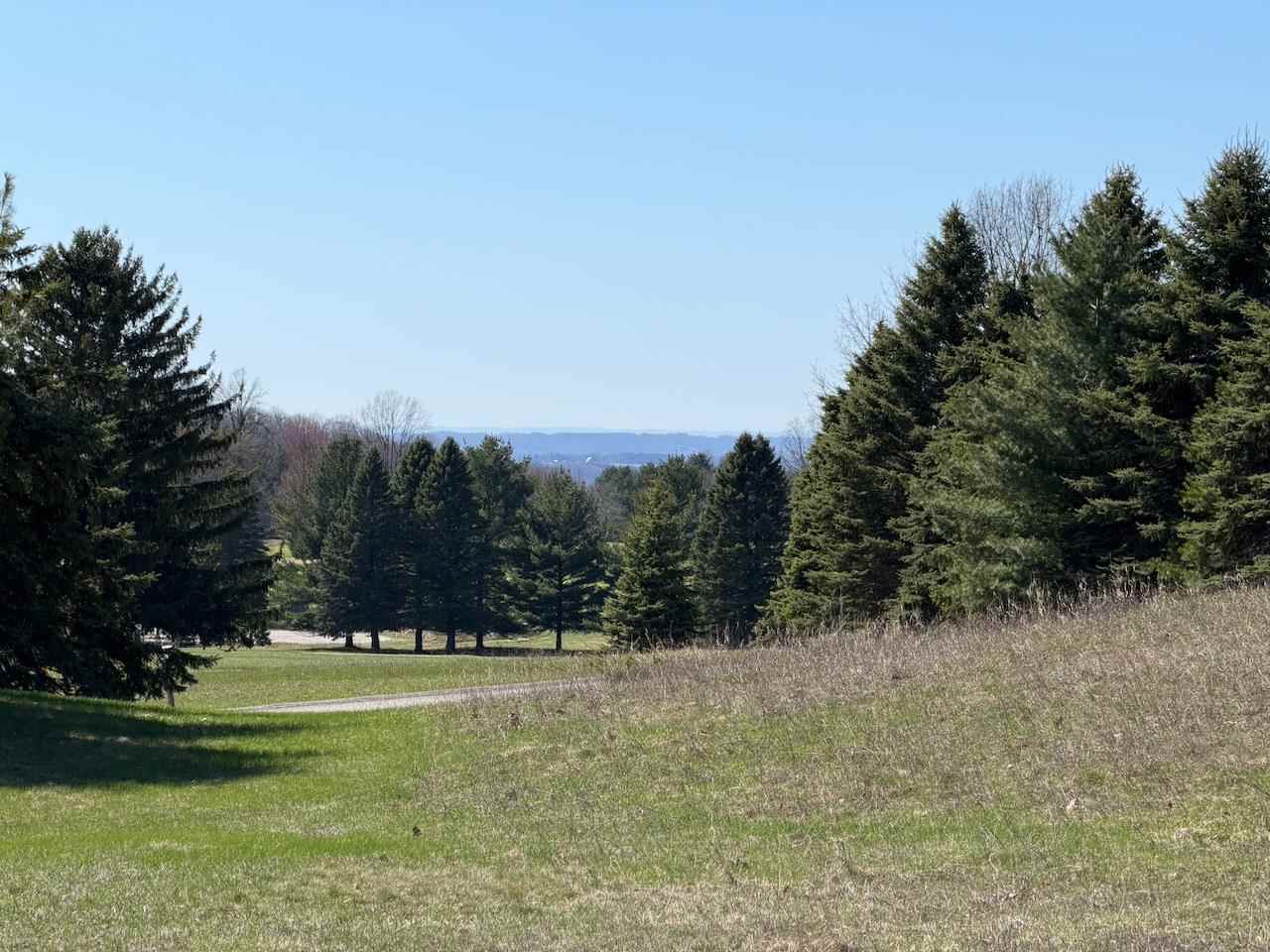 Unit 44 Golf Meadows Drive Bellaire MI 49615