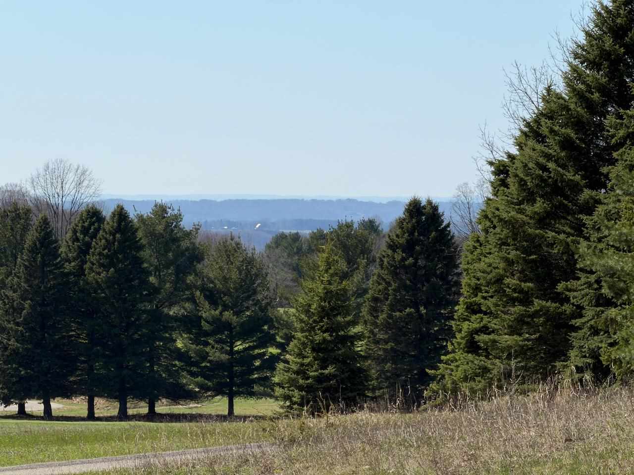 Unit 44 Golf Meadows Drive Bellaire MI 49615
