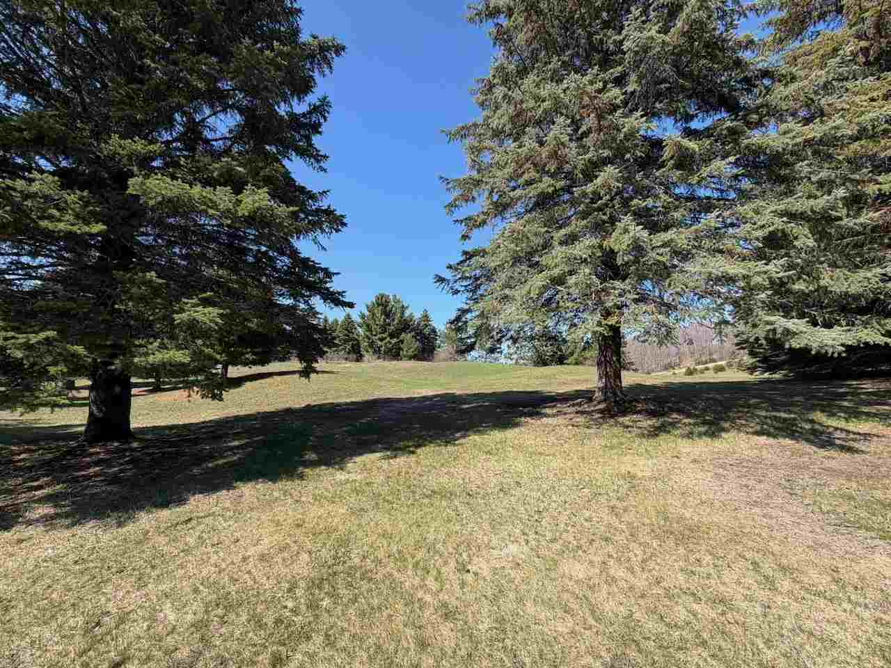 Unit 44 Golf Meadows Drive Bellaire MI 49615