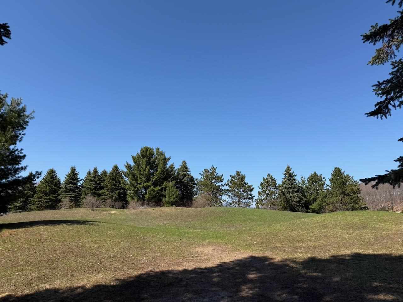 Unit 44 Golf Meadows Drive Bellaire MI 49615