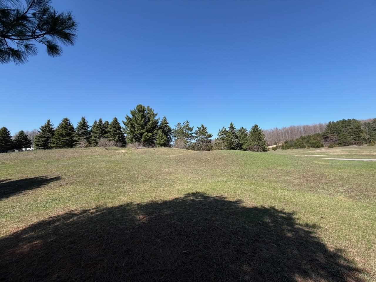 Unit 44 Golf Meadows Drive Bellaire MI 49615