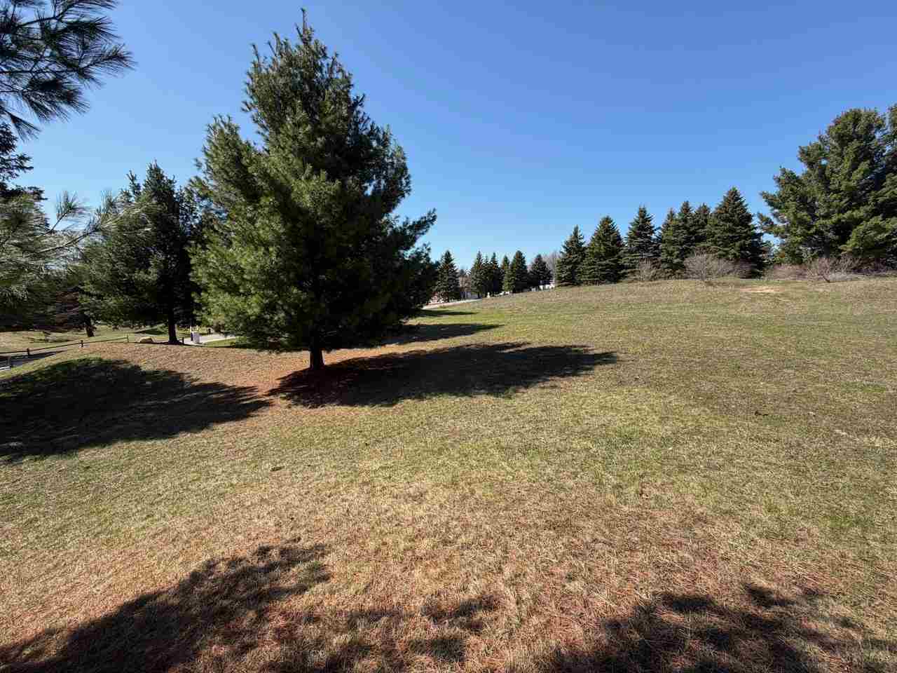 Unit 44 Golf Meadows Drive Bellaire MI 49615