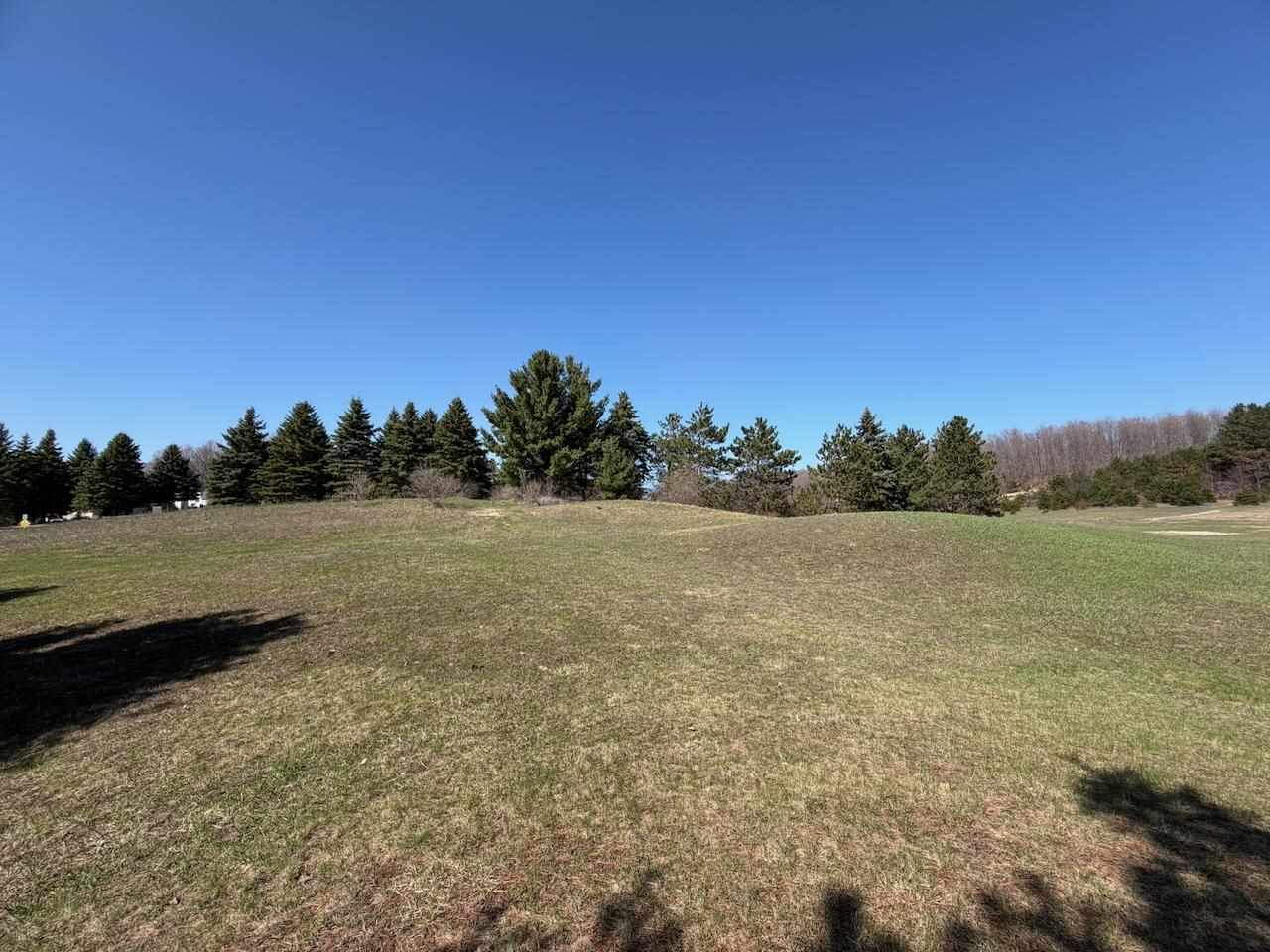 Unit 44 Golf Meadows Drive Bellaire MI 49615