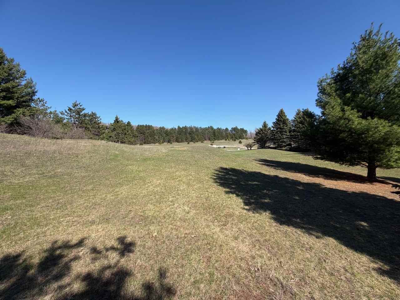 Unit 44 Golf Meadows Drive Bellaire MI 49615