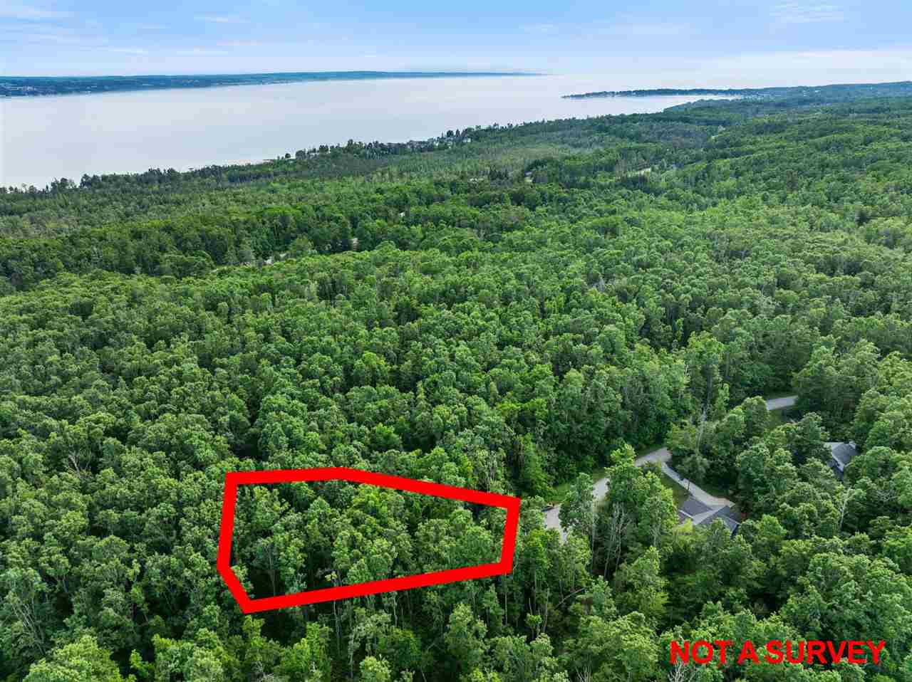 557 Arcadia Drive Harbor Springs MI 49740